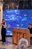 Klassisk koncert Klassisk koncert